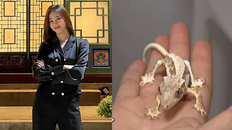 배우 한지은과 반려 도마뱀 모니 / 사진= 한지은 인스타그램, 전참시 갈무리