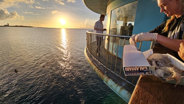 2025.09.16, snakorea.rc@gmail.com , *재판매 및 DB 금지