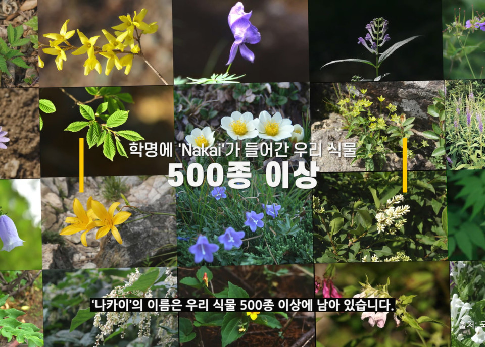 이번 한국어 영상의 주요 장면 (사진=서경덕교수팀 제공) 2025.09.18, snakorea.rc@gmail.com , *재판매 및 DB 금지