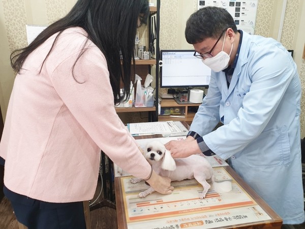 의정부시는 10월 17일부터 29일까지 관내 동물등록된 반려견을 대상으로 ‘2025년 하반기 광견병 예방접종 지원사업’을 실시한다.