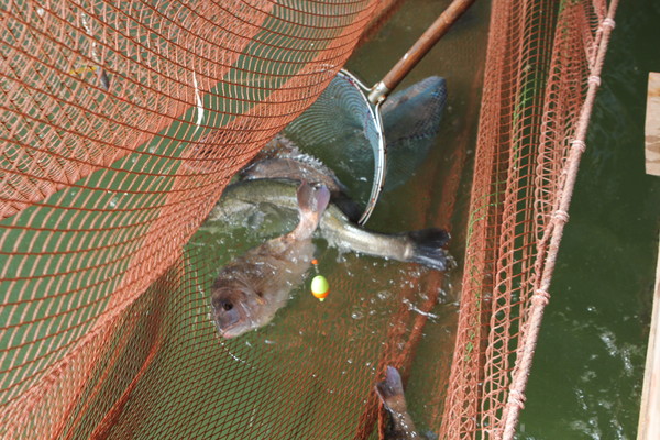 2025.09.28, snakorea.rc@gmail.com , *재판매 및 DB 금지