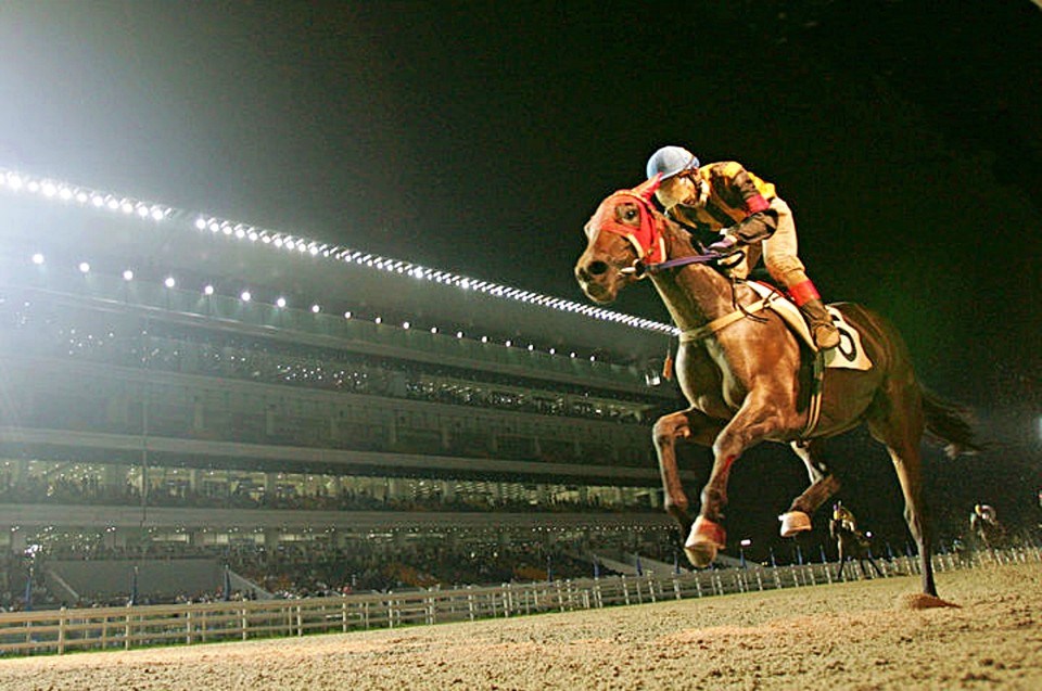 렛츠런파크 부산경남 야간 경마 모습. / 사진 = 한국마사회