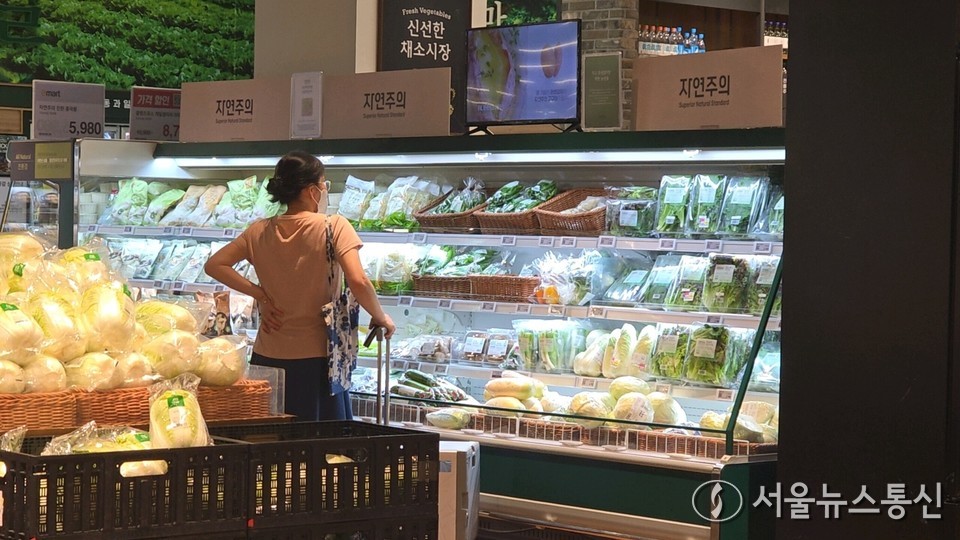 9월 소비자물가 상승률이 두 달 만에 다시 2%대를 기록했다. 사진은 서울 시내 한 대형마트에서 손님이 채소 코너를 살펴보고 있다. (대형마트) / 사진 = 서울뉴스통신 이성현 기자