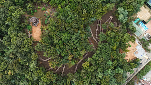 중앙동 구간에 조성된 숲속 산책로
