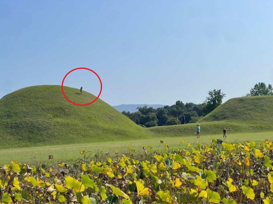 경주 신라 고분 위에 아이가 올라가 있는 모습 (사진=서경덕교수팀 제공) 2025.10.15, snakorea.rc@gmail.com , *재판매 및 DB 금지