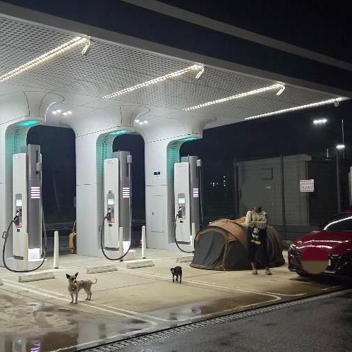 전기차 충전소에서 텐트치고 개 풀어놓은 모습 / 사진 = 보배드림 갈무리