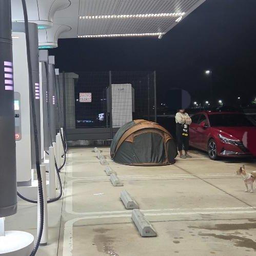 전기차 충전소에서 텐트치고 개 풀어놓은 모습 / 사진 = 보배드림 갈무리