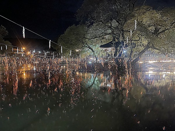 이번 대만·일본 관광객의 대규모 방문은 글로벌 관광자원으로서의 함안 낙화놀이의 잠재력을 입증한 사례로 평가되며, 지역 관광업계에서도 외국인 대상 특화 콘텐츠 확대 필요성에 공감하는 분위기다.