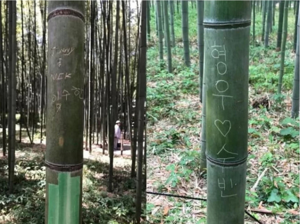 일본 교토 아라시야마 대나무 숲길에서 발견한 한글 낙서. (사진=서경덕교수팀 제공)  2025.10.21, snakorea.rc@gmail.com , *재판매 및 DB 금지