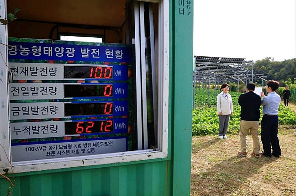 송미령 농림축산식품부 장관은 22일 오후 충북 청주시 오창읍 '영농형 태양광 실증단지'를 방문해, 영농형태양광 하부에 심긴 양배추 작물 재배 현장을 시찰하고 현장에서 지역농업인, 태양광 관련 기업들과의 간담회를 통해 애로사항을 청취했다. (2025.10.22) / 사진 = 농식품부 제공