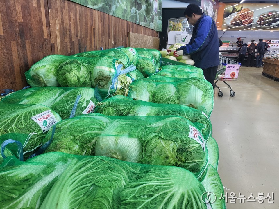 서울의 한 대형마트에서 배추가 판매되고 있다 (2024.03.07) / 사진 = 서울뉴스통신 이성현 기자