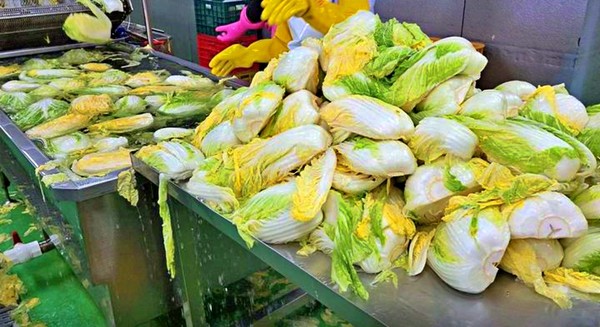 김장철이 본격적으로 시작되면서, 매년 이맘때면 병원을 찾는 허리 통증 환자가 급증한다. (김장_2024.12.11) / 사진 = 국립농산물품질관리원 전북지원 제공