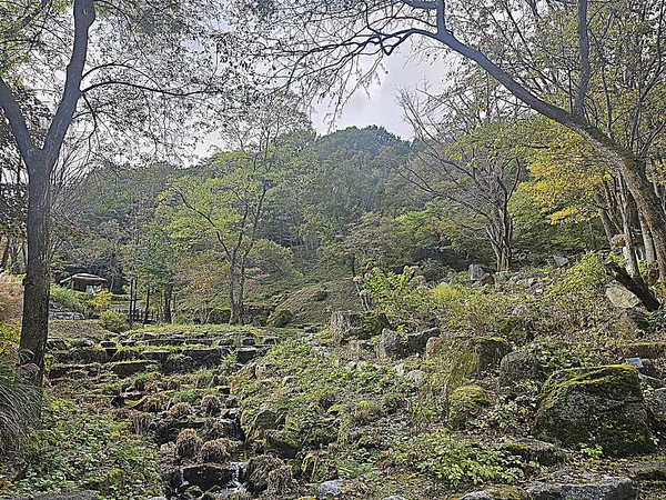 경남도 금원산산림자원관리소는 10월 말부터 11월 초순까지 금원산의 가을을 만끽할 수 있는 단풍 나들이 적기라고 밝혔다.