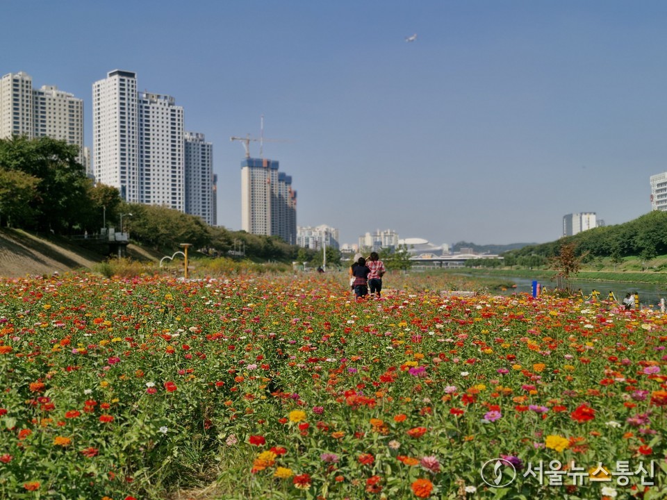 내일(2)은 전국이 대체로 맑은 가운데 낮부터 기온이 낮아져 춥겠다. (안양천 산책길. 2025.11.01) / 사진 = 서울뉴스통신 송경신 기자