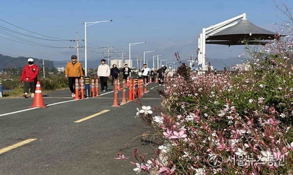 1일 밀양강 자전거길 생태공원에서 열린 밀양강 가우라꽃길 걷기대회 모습