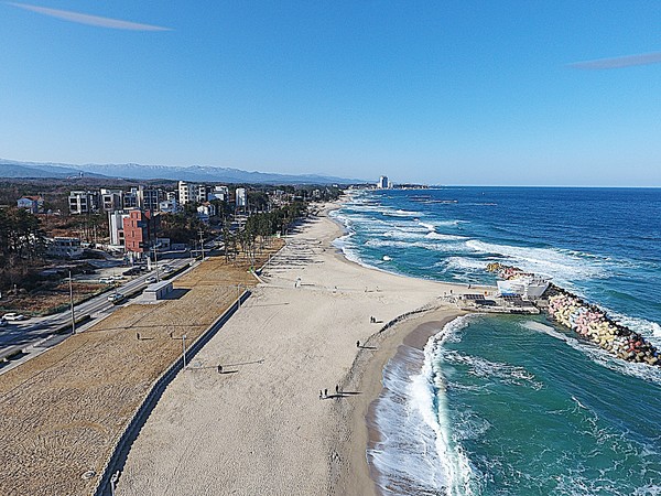 강릉시는 해안변 송림 녹지축 보호와 동해안 최고의 힐링 숲 조성을 위해 시민과 관광객이 함께 즐길 수 있는 복합형 야외공간인 ‘멀티플 광장’ 조성을 본격 추진한다.
