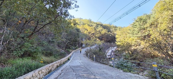 선정된 길은 ▲직동근린공원 산책길 ▲회룡사 가는 길 ▲부용천 황화코스모스길 ▲추동숲정원 무장애 데크길 ▲노강서원 가는 길 등 총 5곳이다.