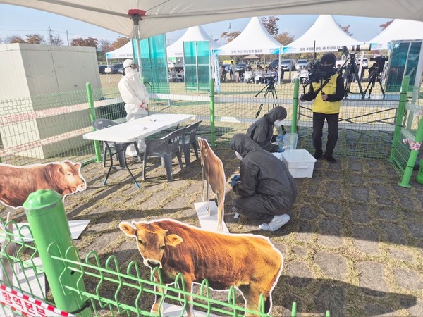 경북도는 4일 구미시 낙동강체육공원 제1주차장 일원에서 ‘2025년 구제역 현장 대응 가상 방역훈련(CPX)’을 했다.