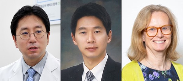 세브란스병원 내분비내과 이용호 교수, 분당서울대병원 내분비대사내과 임수교수, 영국레스터대학 멜라니데이비스 교수9사진 왼쪽부터). 사진/분당서울대병원