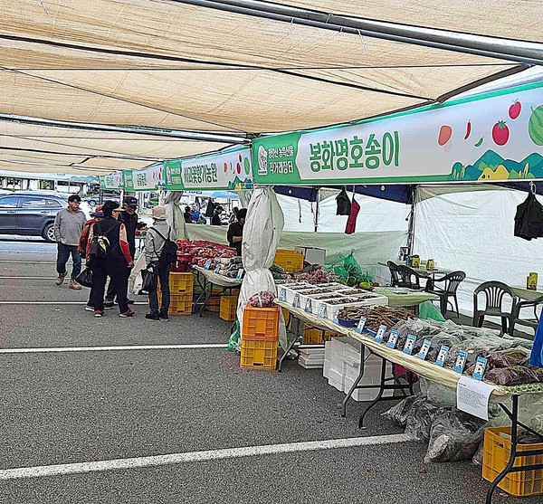 봉화군은 가을 단풍철을 맞아 지난 10월 25일부터 청량산 농특산물 직거래장터를 개장했다고 밝혔다.