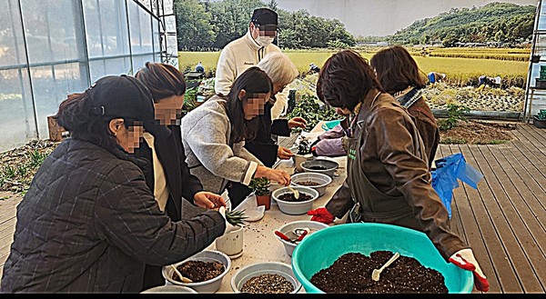  시민이 반려식물을 직접 심고 가꾸며 자연의 소중함을 배우고, 생활 속에서 녹색문화를 실천할 수 있도록 마련됐다.