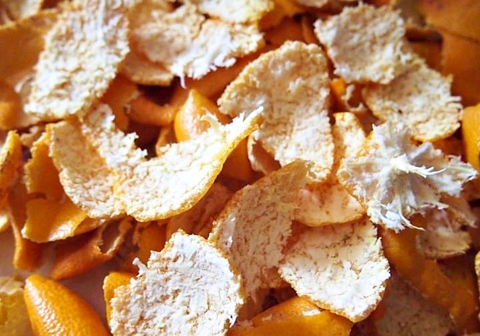 감귤박. / 사진 = 농촌진흥청 제공