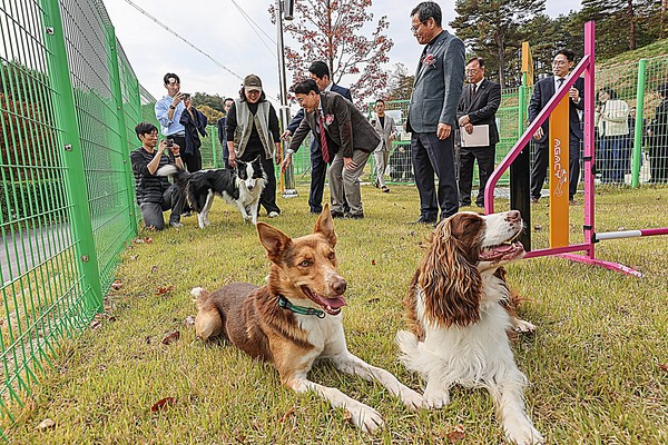 강원자치도는 6일 강릉시 사천면에 도내 최초 공공 반려복지문화시설인 ‘강원자치도 반려동물지원센터’ 개관식을 개최했다고 밝혔다.