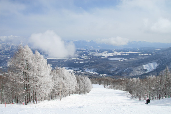 myoko skiresort 2025.11.06, snakorea.rc@gmail.com , *재판매 및 DB 금지