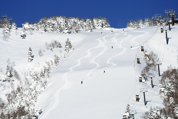 shigakogen sko resort 2025.11.06, snakorea.rc@gmail.com , *재판매 및 DB 금지