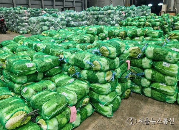 올해 김장철, 직접 김치를 담그겠다는 가구는 10가구 중 6가구(62.3%)에 그쳤다. 반면, 시간과 노동의 부담으로 상품김치 구매를 선택한 가구는 3명 중 1명(32.5%)으로 늘어났다. (대전노은농수산물도매시장) / 사진 = 대전시 제공