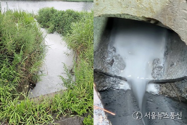 2025.11.08, snakorea.rc@gmail.com , *재판매 및 DB 금지