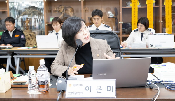 이은미 의원 [사진=경기도의회]