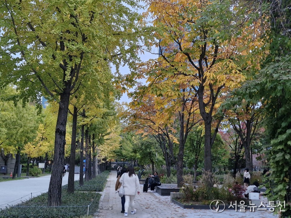 내일(12일)은 전국이 대체로 맑은 가운데 아침 기온은 중부내륙과 남부 산지를 중심으로 기온이 영하로 떨어지며 춥겠다. (서울숲) 2025.11.01. / 사진=서울뉴스통신 송경신 기자ea.rc@gmail.com , *재판매 및 DB 금지