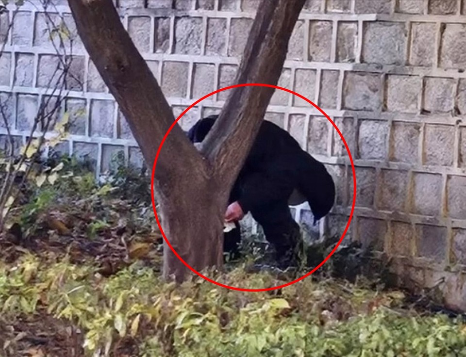 경복궁 돌담에서 용변보는 중국인 (사진=서경덕교수팀 제공) 2025.11.13, snakorea.rc@gmail.com , *재판매 및 DB 금지