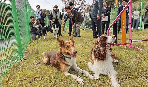 6일 강릉시 사천면에 도내 최초 공공 반려복지문화시설인 ‘강원자치도 반려동물지원센터’ 개관식을 개최했다. (2025.11.06) / 사진 = 강원자치도