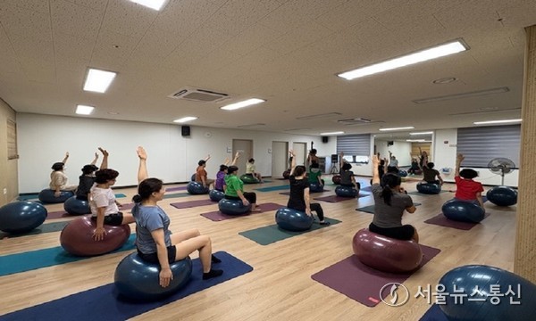 건강증진 운동 프로그램(건강체력 강화 운동)