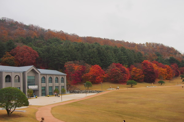 청주명소 관광 농촌체험 다 잡은 농스탑투어 사진(청남대)(제공=청주시) *재판매 및 DB 금지