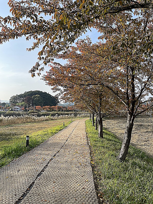 강릉시가 시민의 걷기 문화 확산을 위해 진행한 ‘제2회 우리동네 함께 걷고 싶은 길’ 공모전에 10개 코스가 최종 선정됐다.