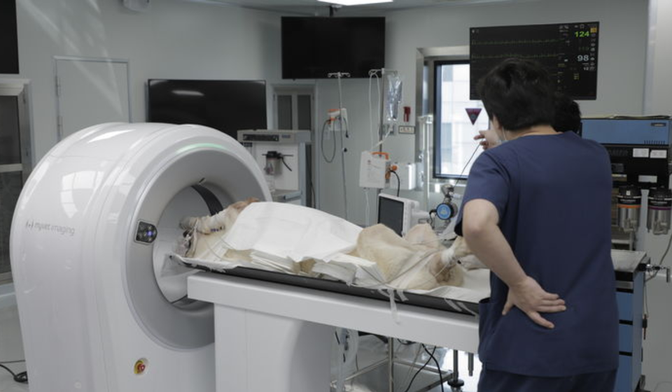 교통사고로 입원 치료 중이던 반려견이 사망하자 담당 수의사를 폭행한 70대 남성이 법원에서 선고유예 판결을 받았다. (사진은 기사와 무관) / 사진 = 우리엔 제공