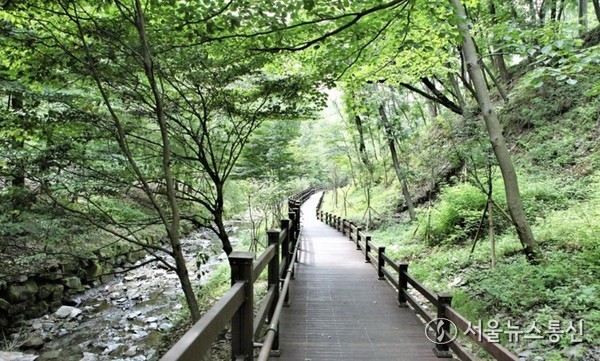 대전시가 2017년부터 조성해 온‘무장애 나눔길 조성사업’7개 구간이 완성됐다. 