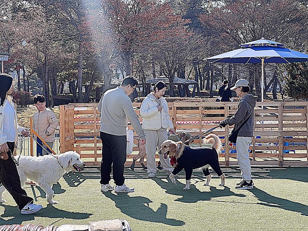 봉화군은 반려동물과 사람이 함께 공존하는 건강한 사회 분위기 조성을 위해 기획한 ‘2025 봉화군 반려문화 페스티벌’을 지난 15일부터 16일까지 2일간 봉화은어송이테마공원 일원에서 성황리에 개최했다고 밝혔다.