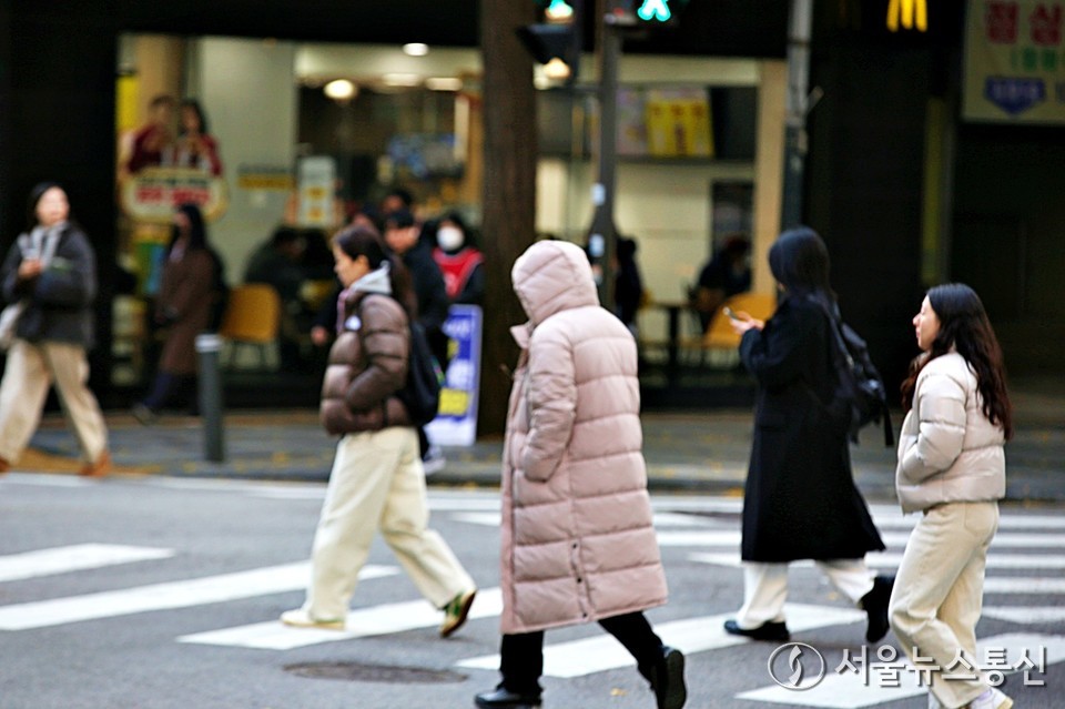 (서울시청 인근 사거리_2025.11.19) / 사진 = 서울뉴스통신 이성현 기자