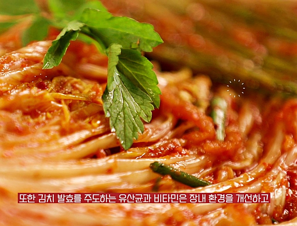 2025.11.21, snakorea.rc@gmail.com , *재판매 및 DB 금지