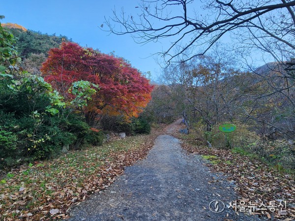 ▲금강골 초입 둘레길 풍경(사진 = 김재희 기자)2025.11.22, snakorea.rc@gmail.com , *재판매 및 DB 금지