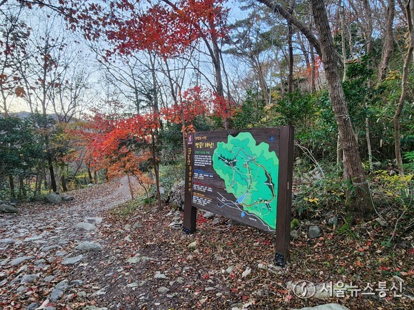 2025.11.22, snakorea.rc@gmail.com , *재판매 및 DB 금지