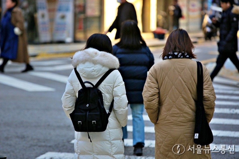 (서울시청 인근 사거리_2025.11.19) / 사진 = 서울뉴스통신 이성현 기자