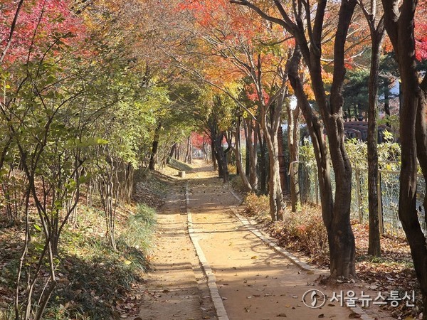 한밭수목원 맨발걷기 길. / 사진 = 대전시 제공 2025.11.23, snakorea.rc@gmail.com , *재판매 및 DB 금지