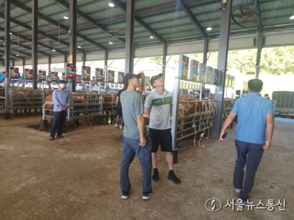 ▲스마ㅣ트 가축시장 운영으로 집에서도 한우 거래(사진 = 해남군)2025.11.24, snakorea.rc@gmail.com , *재판매 및 DB 금지
