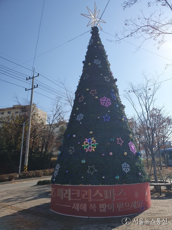 원주시, 성탄절 앞두고 주요 도로 3곳에 성탄 트리 설치 / 사진 = 원주시제공