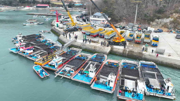 ▲군외면 당인리 물김 위판 현장(사진 = 완도군)2025.11.25, snakorea.rc@gmail.com , *재판매 및 DB 금지